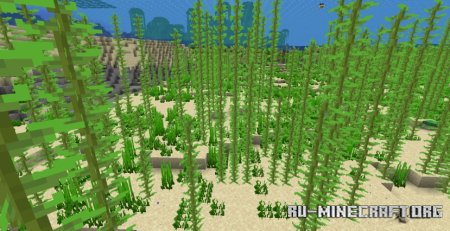  Clear Vision  Minecraft 1.21.5