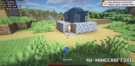  Pickup Notifications  Minecraft 1.21.5