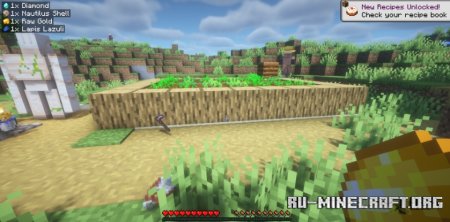  Pickup Notifications  Minecraft 1.21.5