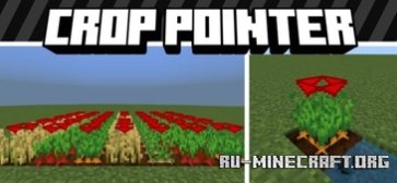      Minecraft PE 1.21