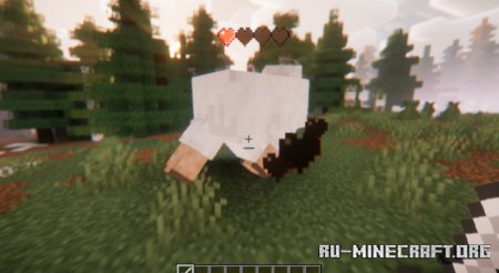  Health Indicators  Minecraft 1.21.5