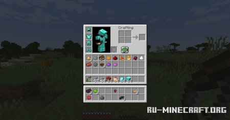  Extra Inventory  Minecraft 1.21.4
