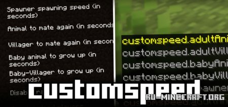  Customspeed  Minecraft 1.21.5
