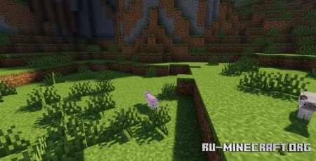  Refined Cats  Minecraft 1.21.5