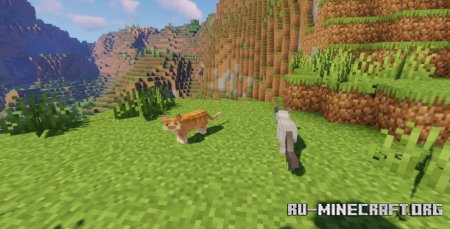  Refined Cats  Minecraft 1.21.5