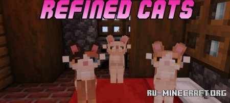  Refined Cats  Minecraft 1.21.5