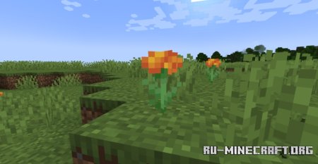  Marigold Flower  Minecraft 1.21.1