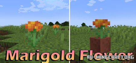  Marigold Flower  Minecraft 1.21.1