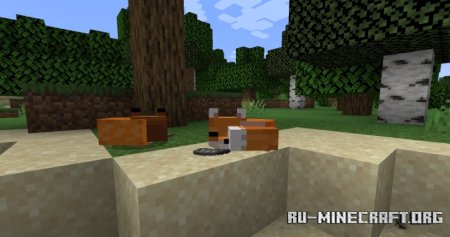  Musical Foxes  Minecraft 1.21