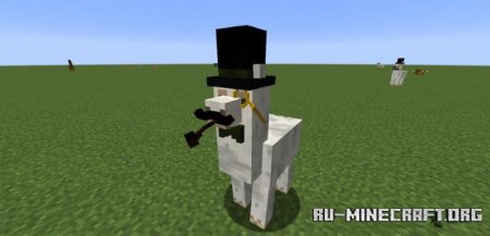  Better Than Llamas  Minecraft 1.21.5