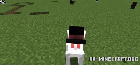  Better Than Bunnies  Minecraft 1.21.5
