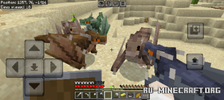    Minecraft PE 1.21