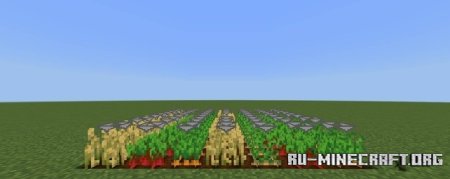      Minecraft PE 1.21