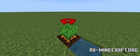      Minecraft PE 1.21