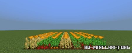      Minecraft PE 1.21