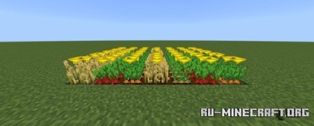      Minecraft PE 1.21