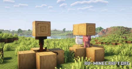  Wither Skeleton Propagation  Minecraft 1.20.1