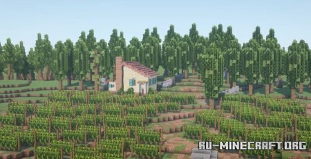  Big Vineyard  Minecraft