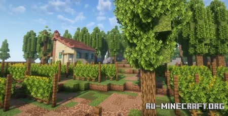  Big Vineyard  Minecraft