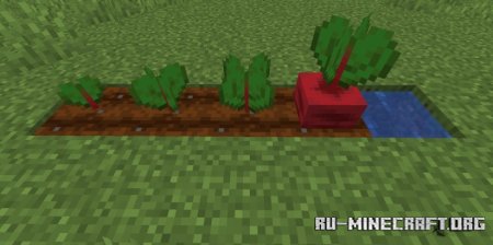  Bontiful Crops  Minecraft 1.21.5