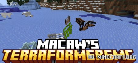  Macaws TerraformersMC  Minecraft 1.21.4