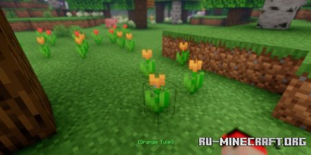  Reader  Minecraft 1.21.5