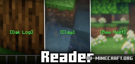  Reader  Minecraft 1.21.5