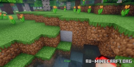  Reader  Minecraft 1.21.5