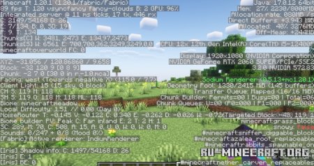  Optimizer  Minecraft 1.21.5