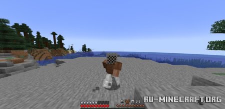  Simple Armor Hud  Minecraft 1.21.5