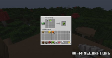  The Wool Collection  Minecraft 1.21.1