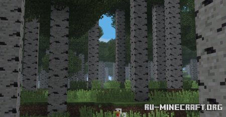  Fogulous  Minecraft 1.21.5