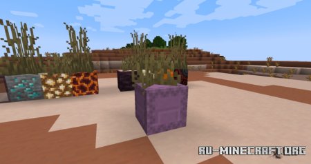  Placeable Plants  Minecraft 1.20.4