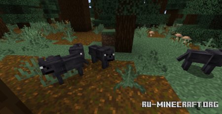  Fresh Wolves Variants  Minecraft 1.21.5