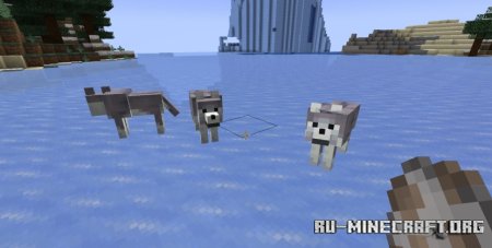  Fresh Wolves Variants  Minecraft 1.21.5