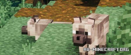  Fresh Wolves Variants  Minecraft 1.21.5