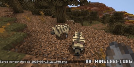  Fresh Wolves Variants  Minecraft 1.21.5