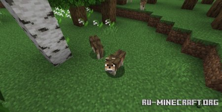  Fresh Wolves Variants  Minecraft 1.21.5