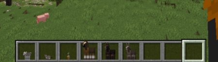  Pickable Pets  Minecraft 1.21.5