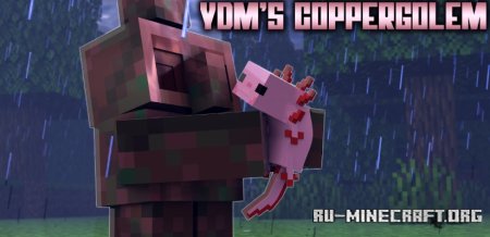  YDMs CopperGolem  Minecraft 1.21.5