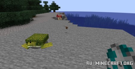  Whimscape x Fresh Animations  Minecraft 1.21.5