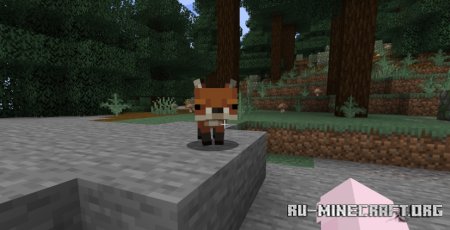  Whimscape x Fresh Animations  Minecraft 1.21.5