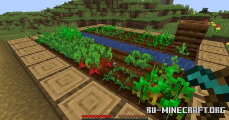  Improved Farming  Minecraft 1.20.4