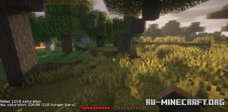  Saturation Plus  Minecraft 1.21.5