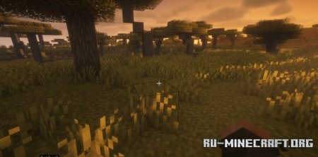  Saturation Plus  Minecraft 1.21.5
