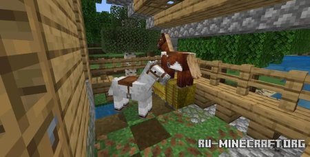  Riverside House  Minecraft