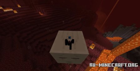  Solid Mobs  Minecraft 1.21.5