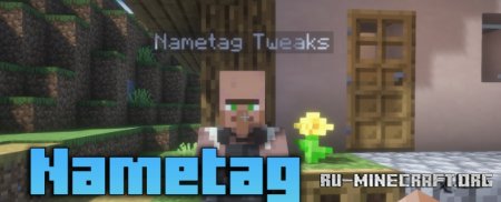  Nametag Tweaks  Minecraft 1.21.5