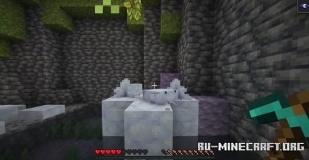  Gipples Galore  Minecraft 1.21.5