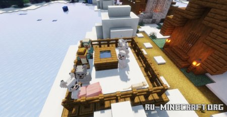  Woman Wolf  Minecraft 1.21.5